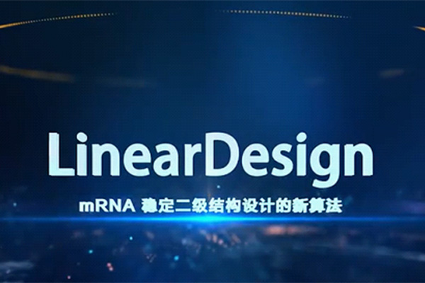 暢談mRNA技術(shù)全流程4： 為什么梁山的一百單八將要排座次？ 談?wù)刴RNA序列優(yōu)化