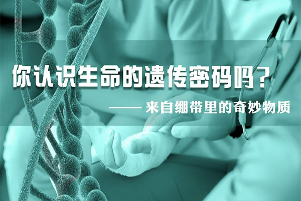 科普園地|來自繃帶里的奇妙物質(zhì)，你認識生命的遺傳密碼嗎？